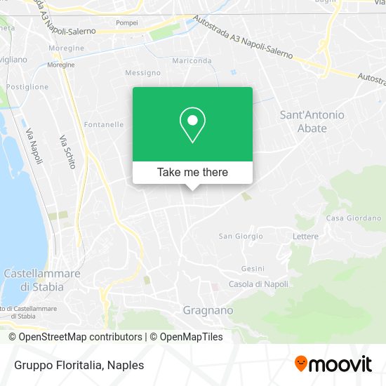 Gruppo Floritalia map