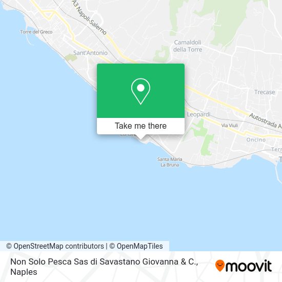 Non Solo Pesca Sas di Savastano Giovanna & C. map