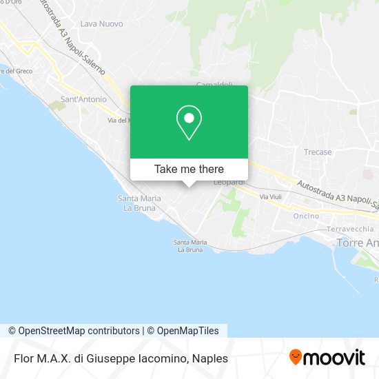 Flor M.A.X. di Giuseppe Iacomino map
