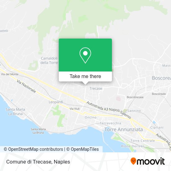 Comune di Trecase map