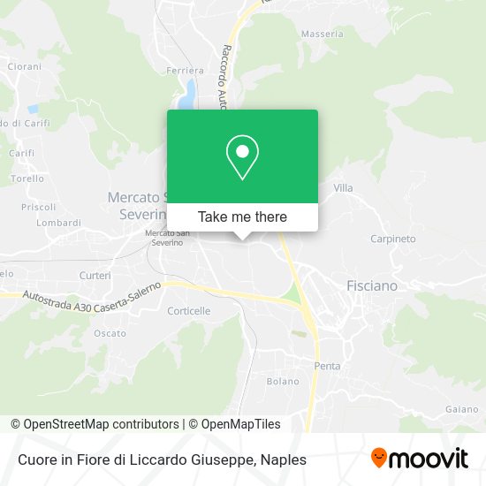 Cuore in Fiore di Liccardo Giuseppe map
