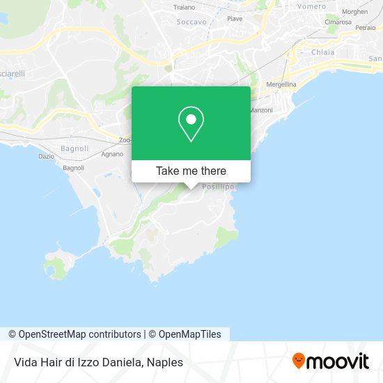 Vida Hair di Izzo Daniela map