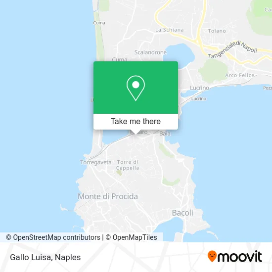 Gallo Luisa map