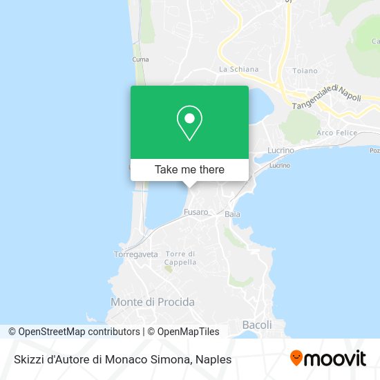 Skizzi d'Autore di Monaco Simona map