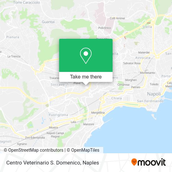 Centro Veterinario S. Domenico map