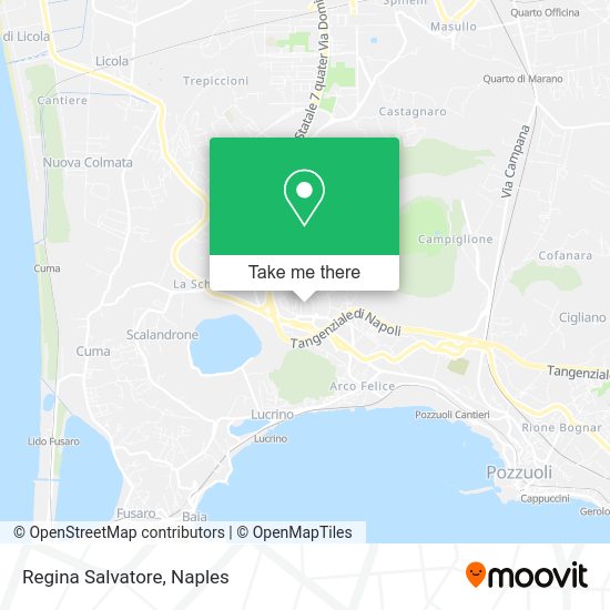 Regina Salvatore map