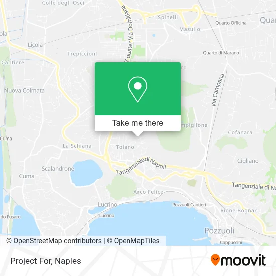 Project For map