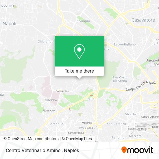 Centro Veterinario Aminei map
