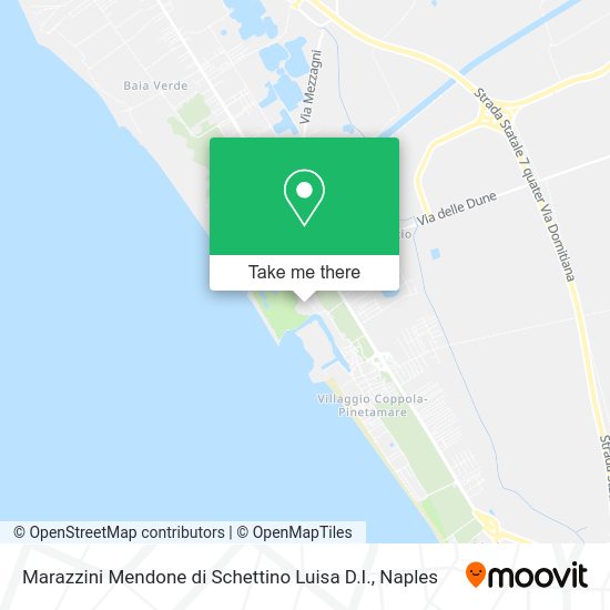 Marazzini Mendone di Schettino Luisa D.I. map