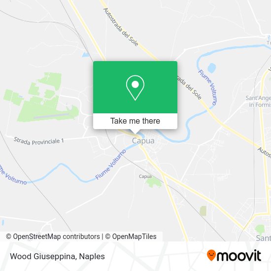 Wood Giuseppina map