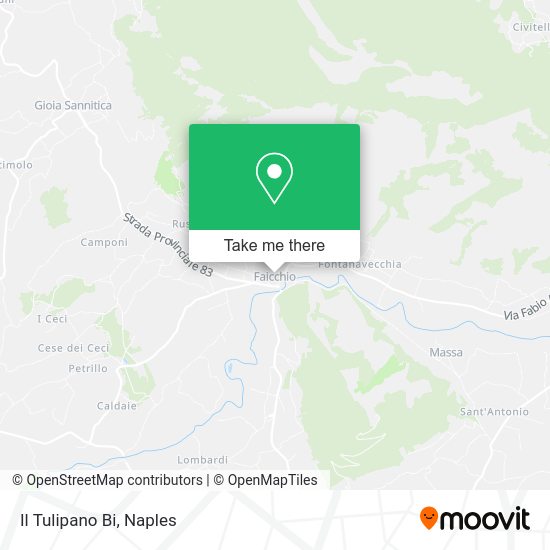 Il Tulipano Bi map