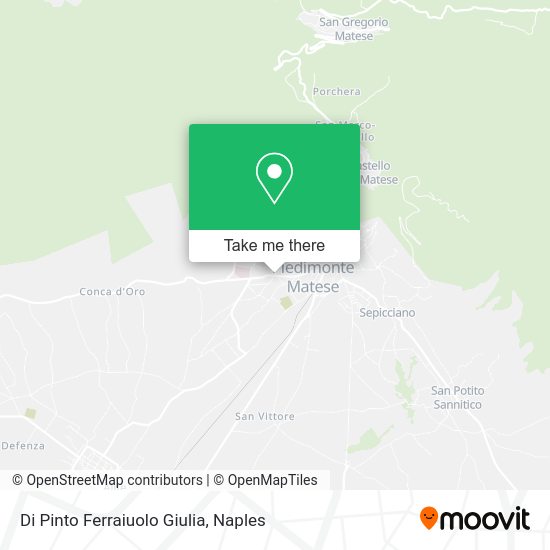 Di Pinto Ferraiuolo Giulia map