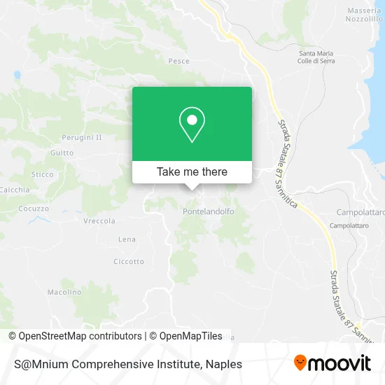 S@Mnium Comprehensive Institute map