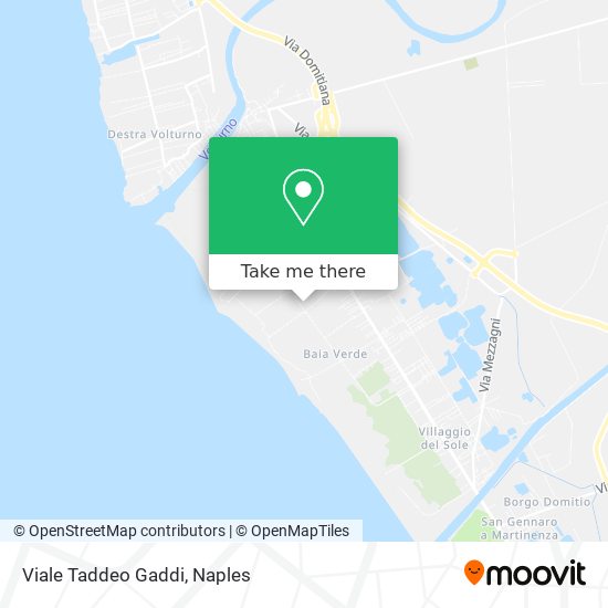 Viale Taddeo Gaddi map