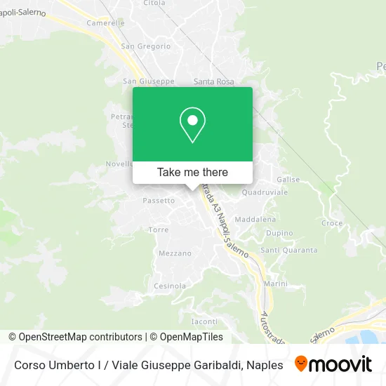 Corso Umberto I / Viale Giuseppe Garibaldi map