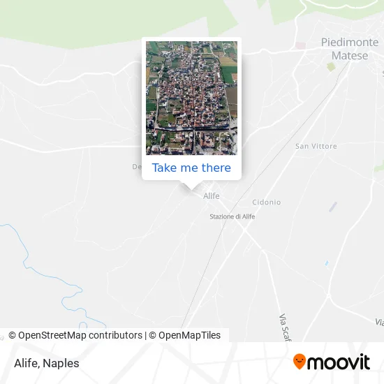 Alife map
