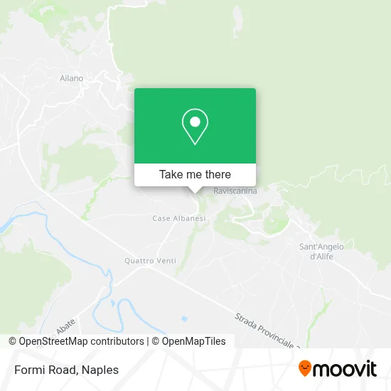 Formi Road map