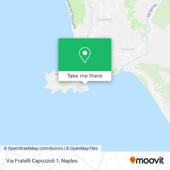 Via Fratelli Capozzoli 1 map