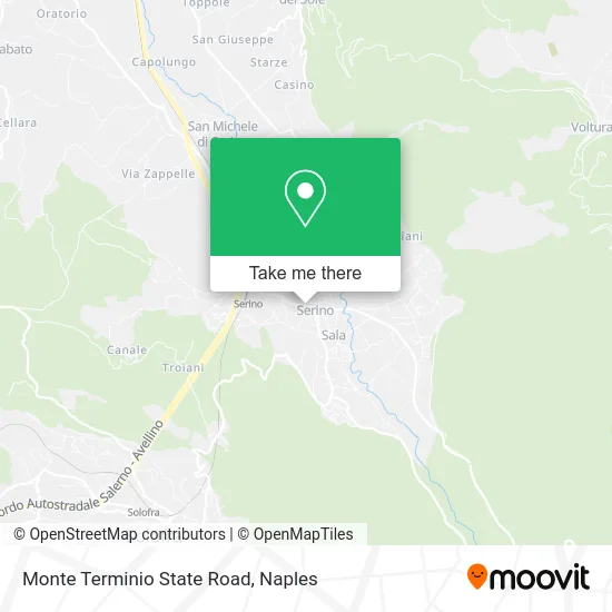 Monte Terminio State Road map