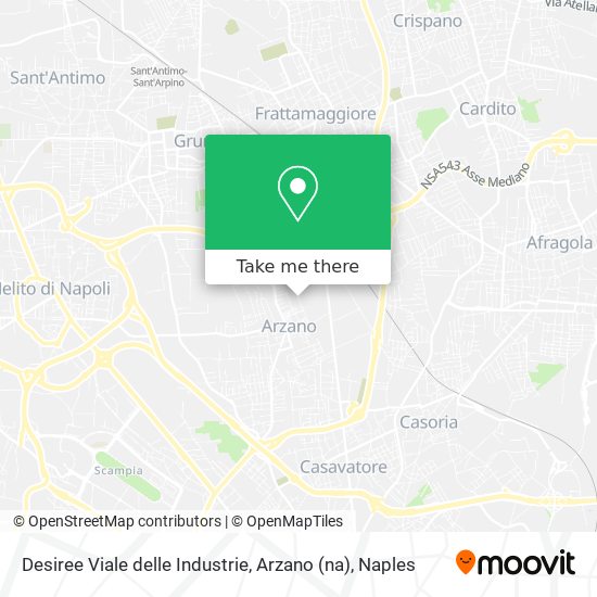 Desiree Viale delle Industrie, Arzano (na) map