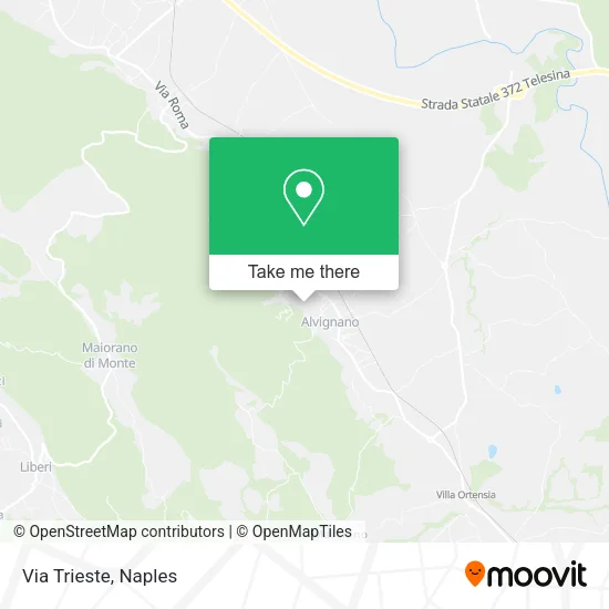 Via Trieste map