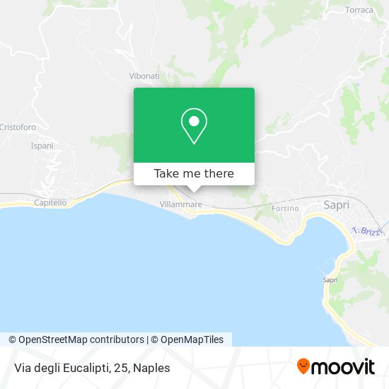 Via degli Eucalipti, 25 map