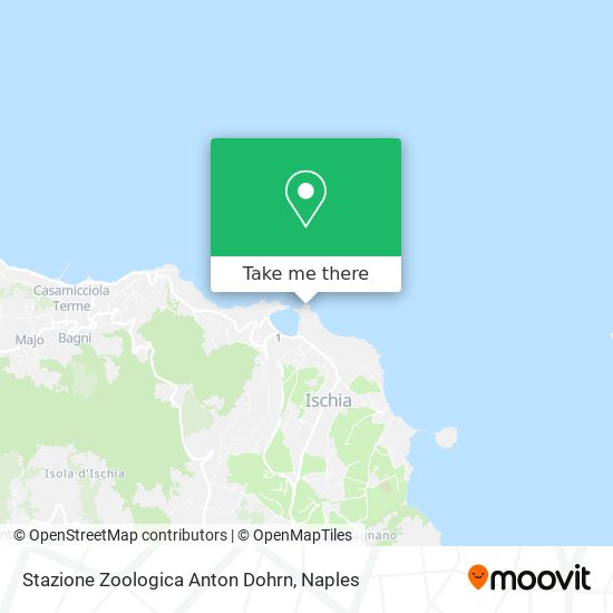 Stazione Zoologica Anton Dohrn map