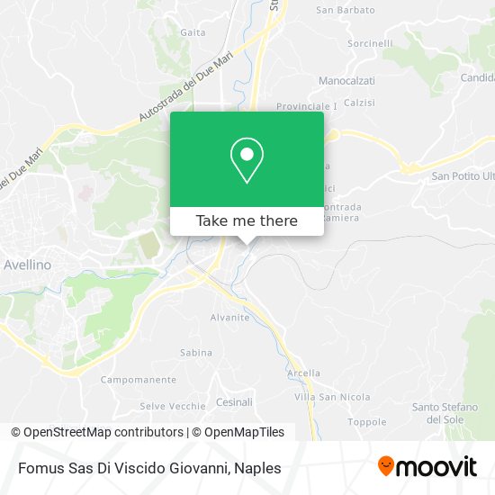 Fomus Sas Di Viscido Giovanni map