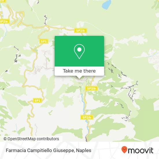 Farmacia Campitiello Giuseppe map