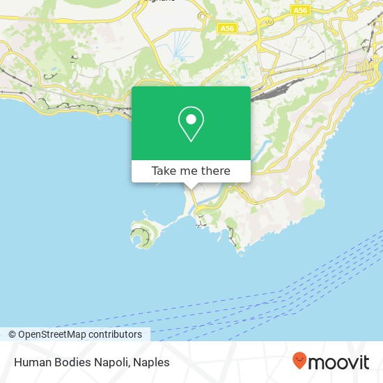 Human Bodies Napoli map