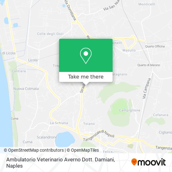 Ambulatorio Veterinario Averno Dott. Damiani map