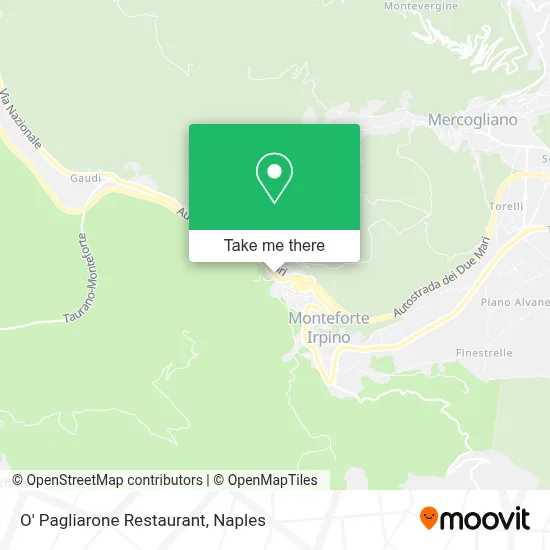 O' Pagliarone Restaurant map