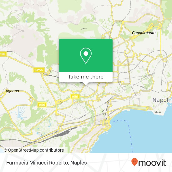 Farmacia Minucci Roberto map