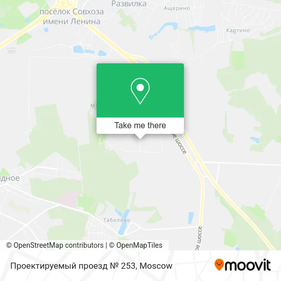 Проектируемый проезд № 253 map