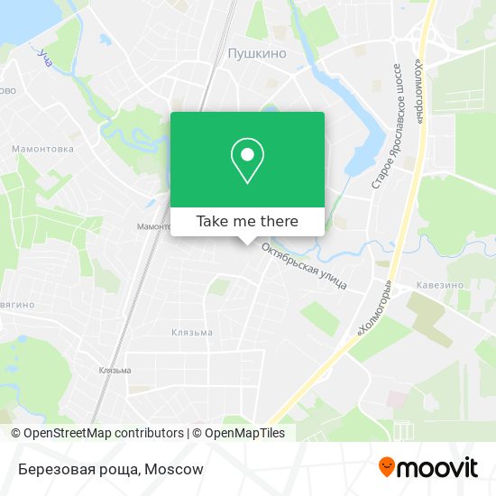 Березовая роща map