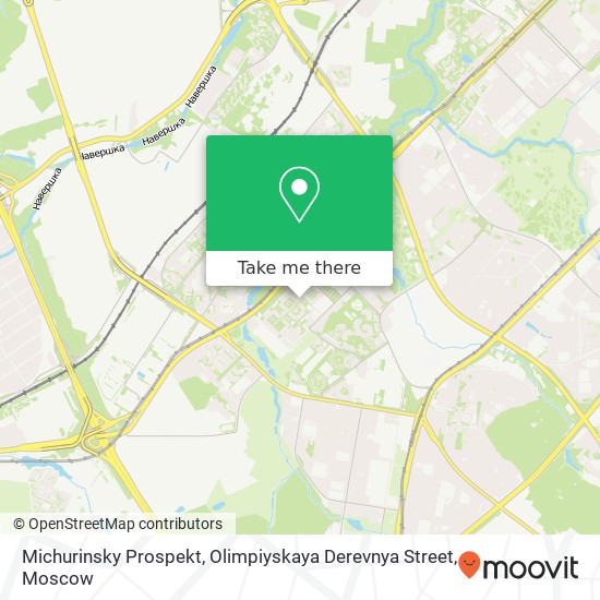 Michurinsky Prospekt, Olimpiyskaya Derevnya Street map