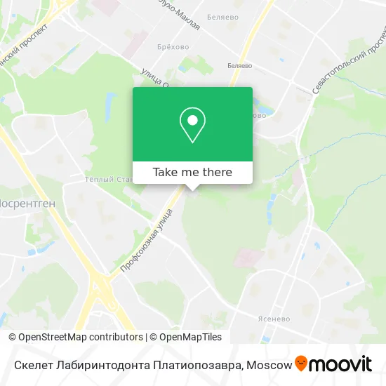 Скелет Лабиринтодонта Платиопозавра map