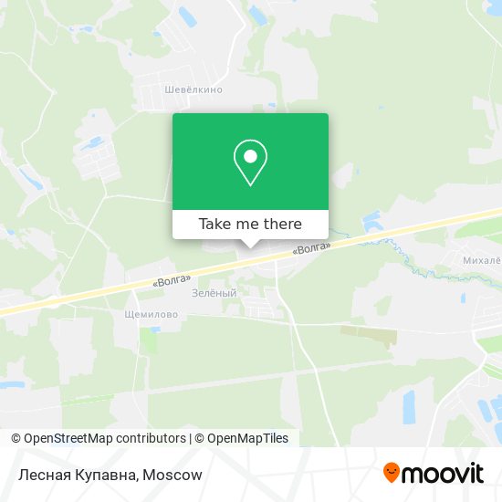 Лесная Купавна map