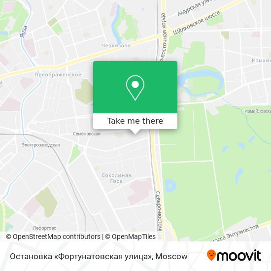Остановка «Фортунатовская улица» map