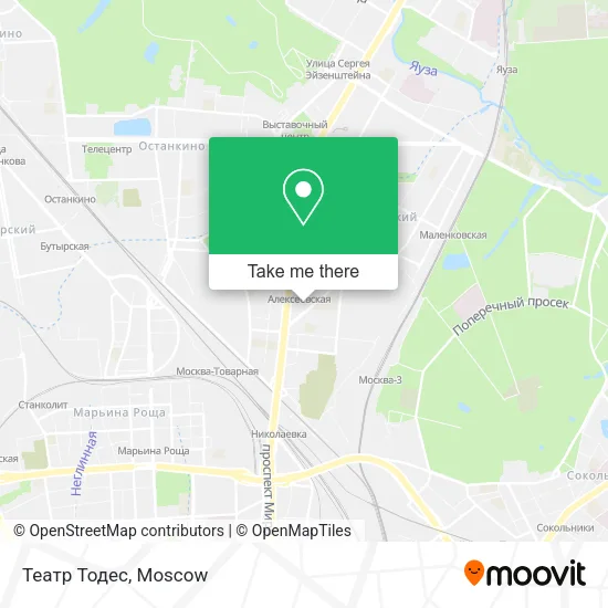 Театр Тодес map