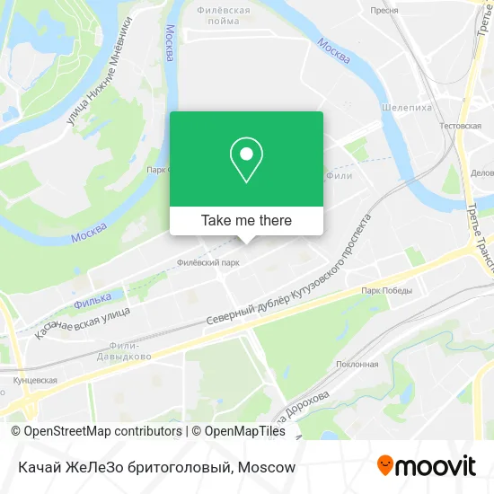 Качай ЖеЛеЗо бритоголовый map
