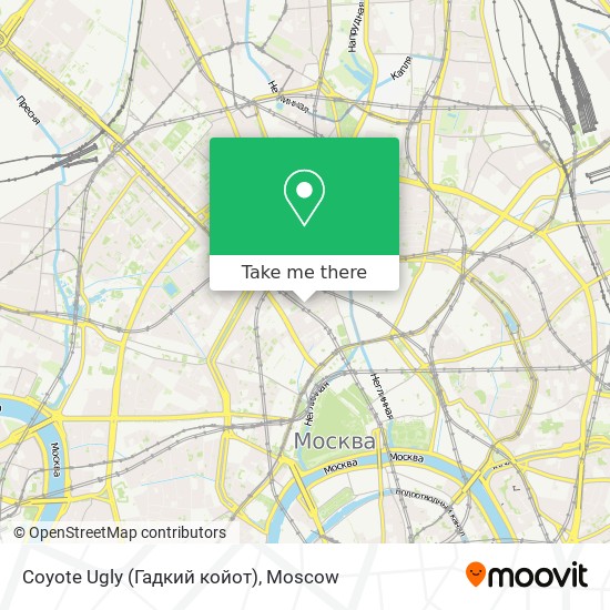 Coyote Ugly (Гадкий койот) map