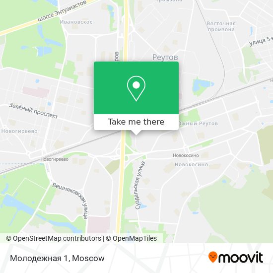 Молодежная 1 map