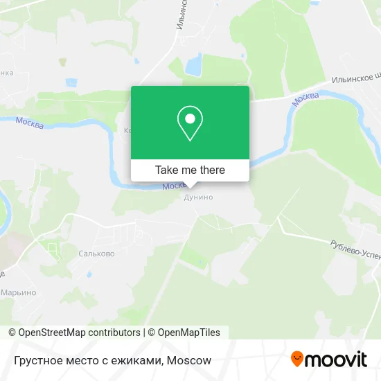 Грустное место с ежиками map