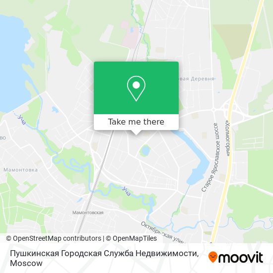 Пушкинская Городская Служба Недвижимости map