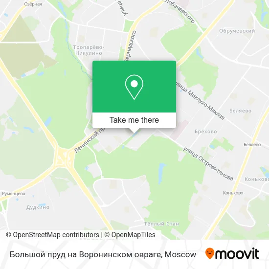 Большой пруд на Воронинском овраге map