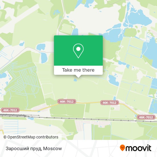 Заросший пруд map