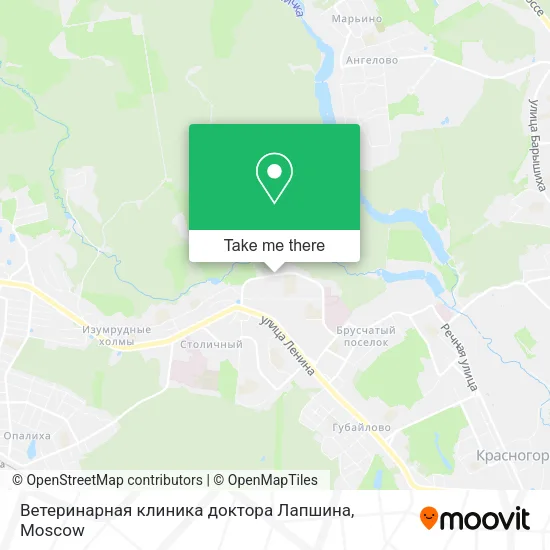 Ветеринарная клиника доктора Лапшина map