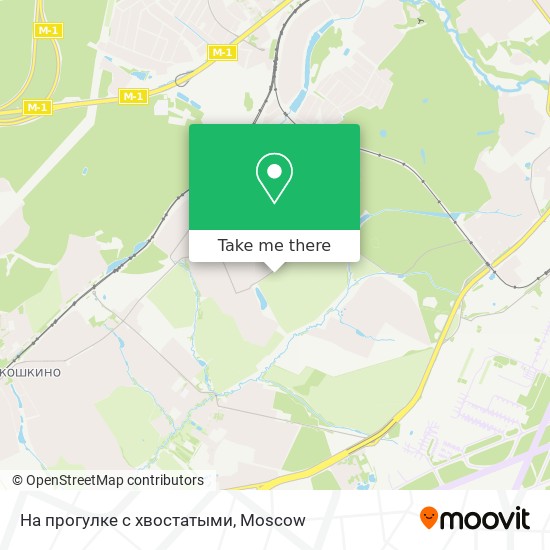 На прогулке с хвостатыми map