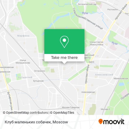 Клуб маленьких собачек map